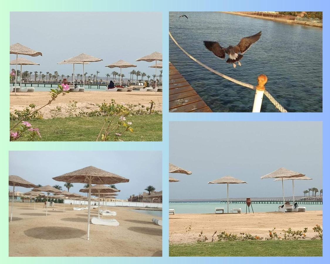 Scandic In Hurghada, Egypt * الغردقة